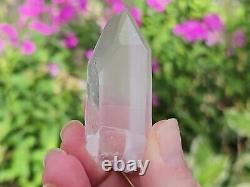 Lemurian Seed Quartz Parcel- 35 Pieces, 678 grams- Serra Do Cabral Brazil- WP5