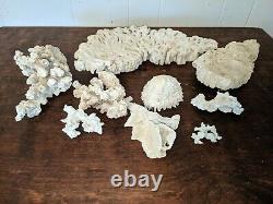 Lot 9 Pieces Natural Real Reef Coral Aquarium Crafts Jewelry Home Decoration