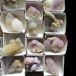 Lot of Cactus Spirit Quartz 32 pieces CCflat53