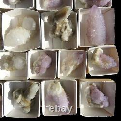 Lot of Cactus Spirit Quartz 32 pieces CCflat53