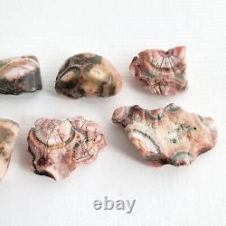 Lot of Thomsonite Stones from Lake Superior 8 Pieces