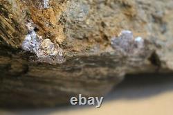 MOLYBDENITE ON MATRIX SPECIMAN DISPLAY PIECE LARGE PIECE 7 pounds OLD STOCK