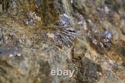 MOLYBDENITE ON MATRIX SPECIMAN DISPLAY PIECE LARGE PIECE 7 pounds OLD STOCK