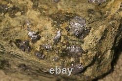 MOLYBDENITE ON MATRIX SPECIMAN DISPLAY PIECE LARGE PIECE 7 pounds OLD STOCK