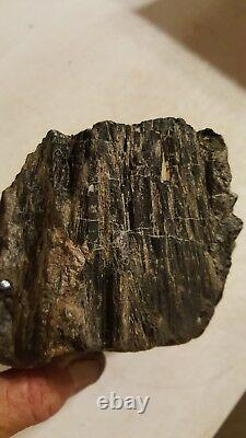 MOLYBDENITE ON MATRIX SPECIMAN DISPLAY PIECE LARGE PIECE 7 pounds OLD STOCK