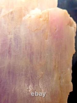 Massive Raw Kunzite Crystal 27,690 Carats Collector's Statement Piece