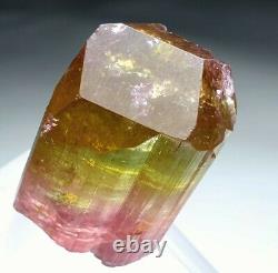 Multi color tourmaline crystal gem quality crystal best collection piece
