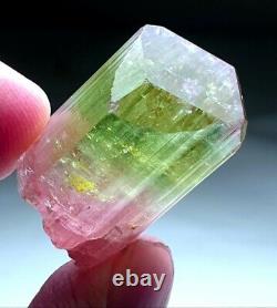 Multi color tourmaline crystal gem quality crystal best collection piece