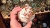 My Crystal Ball Collection Part 1 Ocean Jasper Spheres