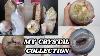 My Full Crystal Collection 2021