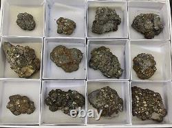 Natural 12 Pieces Flat Box Of Irredecent Golden Marcasite Var Pyrite Crystals