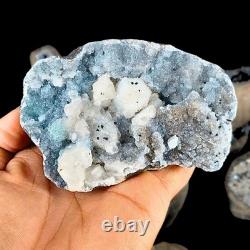 Natural Amethyst Geode Quartz 6.27kg 13pc Healing Crystal Collector Stones