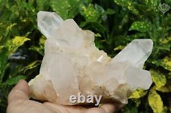 Natural Big Piece of Himalayan Pink Samadhi Quartz 805 gm Healing Crystal Stone