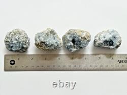 Natural Blue Celestite Crystal Cluster 1-2 Bulk 50 PCs Raw Celestite Geodes