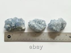 Natural Blue Celestite Crystal Cluster 2-3 Bulk 30 PCs Raw Celestite Geodes