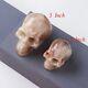 Natural Crystal Skull Handcarved Statue Art Collection Raw Reiki Stone Figurine