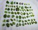 Natural Gemmy Peridot Crystals With Nice Crystallization In Most Pieces 280 Gram