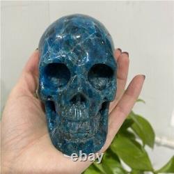 Natural High Quality Blue Apatite Skulls Crystal Skulls Art Sculpture For Crafts
