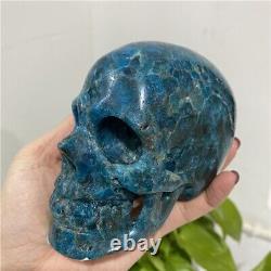 Natural High Quality Blue Apatite Skulls Crystal Skulls Art Sculpture For Crafts