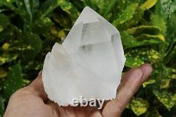 Natural Quartz Crystal Cluster Rocks 881gm White Raw Crystal Mineral Specimens