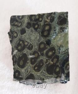 Natural Raw Kambaba Jasper Crystal/Stone, Large Piece, Really Nice, Weighs 5.50