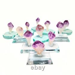 Natural Shape Random Raw Amethyst Crystals Stone Piece for Collection 1 pc 1 Oz