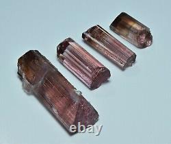 Natural Transparent Terminated Pink Tourmaline Crystal Four Pieces 49.20 Carat