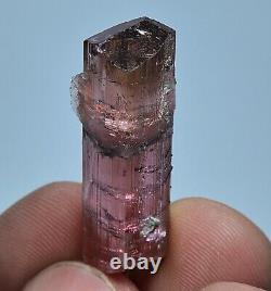 Natural Transparent Terminated Pink Tourmaline Crystal Four Pieces 49.20 Carat