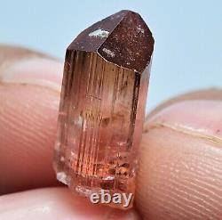 Natural Transparent Terminated Pink Tourmaline Crystal Four Pieces 49.20 Carat