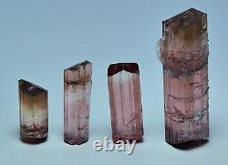 Natural Transparent Terminated Pink Tourmaline Crystal Four Pieces 49.20 Carat