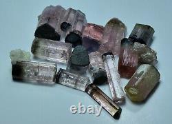 Natural Transparent Terminated Pink Tourmaline Crystal Lot (79 Carat, 14 Pieces)