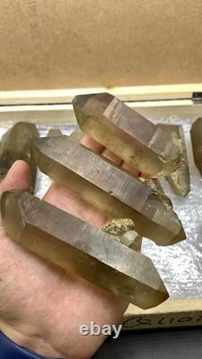Natural Well Terminated Smoky Quartz Crystals Healing Crystals Skardu, mine 20pcs