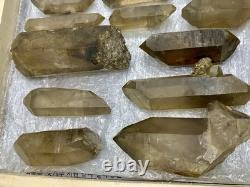 Natural Well Terminated Smoky Quartz Crystals Healing Crystals Skardu, mine 20pcs