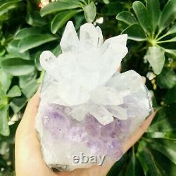 Natural White Crystal Cluster Lamp+Amethyst Base High Quality Quartz Crafts 1pc