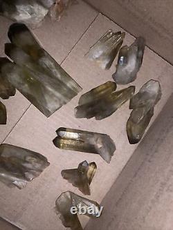 Natural citrine crystal cluster 16 Pieces Wholesale