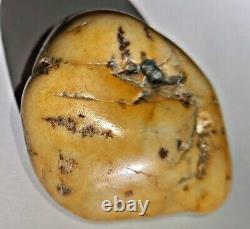 Natural raw unpolished baltic amber piece