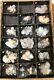 Nice 16 Piece Zeolite Crystal Selection (various Calcium Aluminum Silicates)