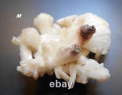 Nice 16 Piece Zeolite Crystal Selection (various calcium aluminum silicates)