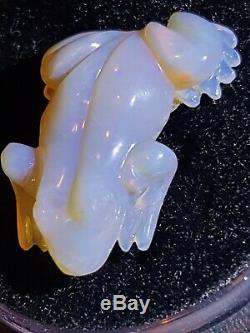 Opal Frog Carving. 18.5 cts natural australian lightning ridge. Large piece