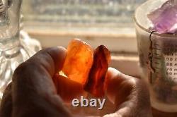 Oregon Mohawk Agate gemmy Jewelry making material 2 piece