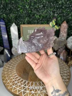 Pastel Fluorite Dragon Head Crystal Carvings, Statement Piece