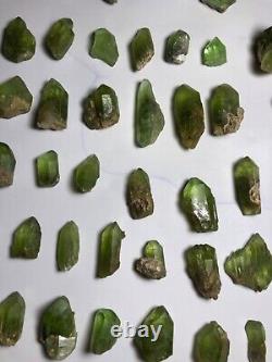 Perfect terminated peridot crystals weight 310gm best color 92 pieces