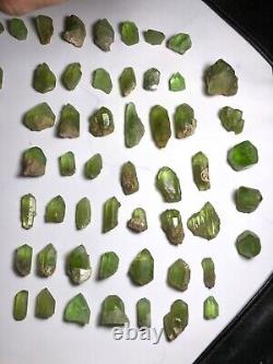 Perfect terminated peridot crystals weight 310gm best color 92 pieces