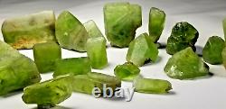 Peridot Crystals/ Specimens Lot (20 Pieces) from Supat Valley