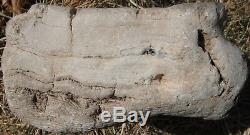 Petrified Wood 8.2 Lb. Piece with Druzy Quartz from Sonoma County, California