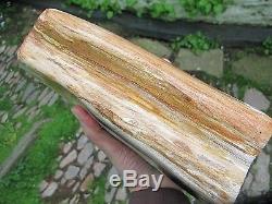 Petrified Wood Fossilised Piece Polished Indonesia 23x10x9 cms 3.779 kilos