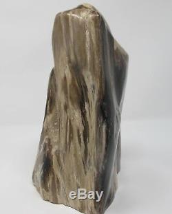 Petrified Wood Fossilised Piece Polished Indonesia 29x16x14 cms 6.7 kilos fossil