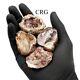 Pink Amethyst With Calcite Inclusions From Argentina / 35-piece Flat