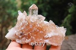 Pink Samadhi Quartz Healing Cluster Rough Pointed Pencil 274 Crystals Quartz