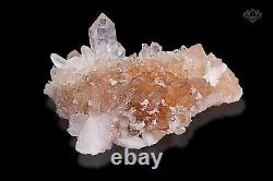 Pink Samadhi Quartz Healing Cluster Rough Pointed Pencil 274 Crystals Quartz